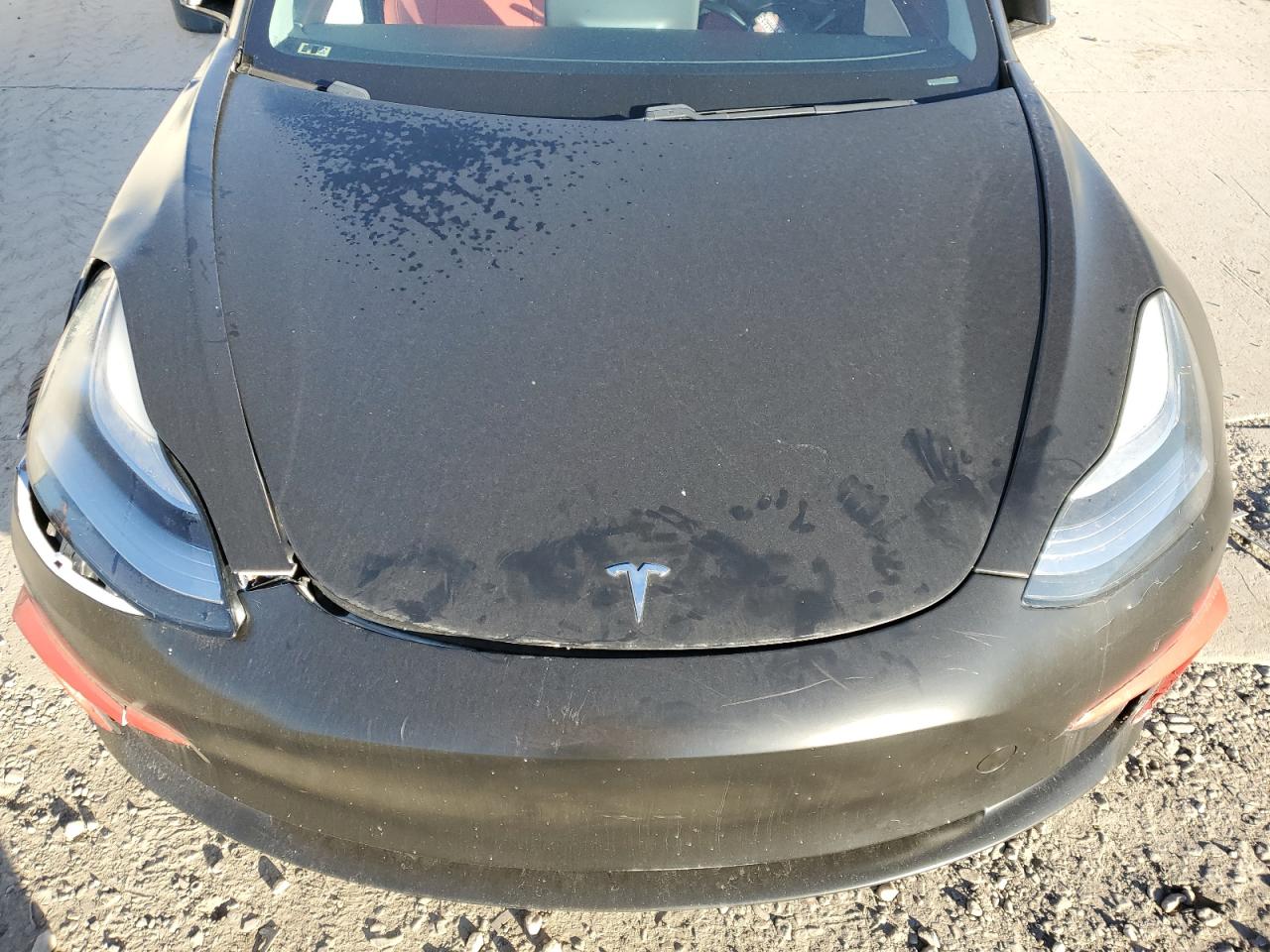 2020 Tesla Model 3 VIN: 5YJ3E1EA8LF746174 Lot: 86871035