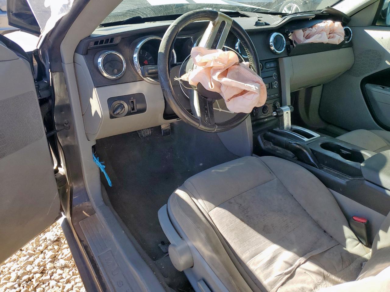 2009 Ford Mustang VIN: 1ZVHT80N295100974 Lot: 90866055