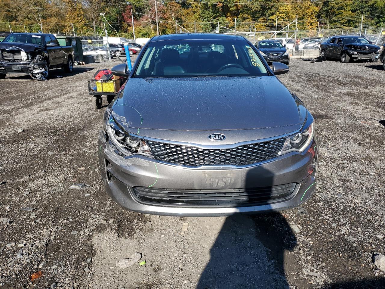 Optima Optima