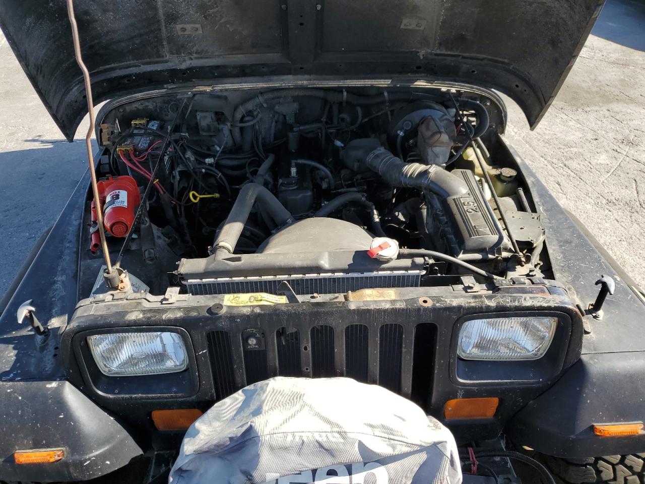 1989 Jeep Wrangler / Yj VIN: 2J4FY19E6KJ113346 Lot: 85717885