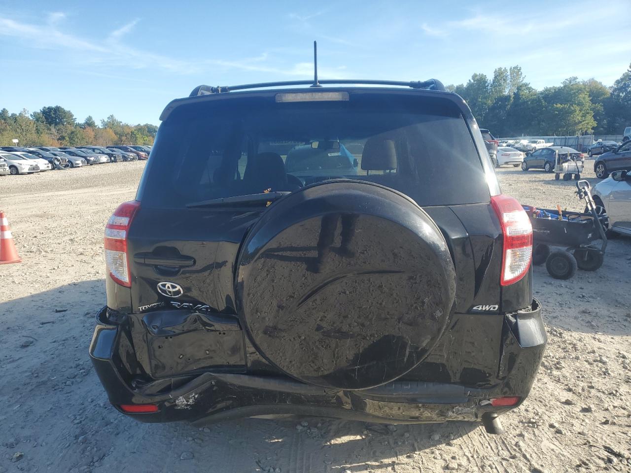 2010 Toyota Rav4 VIN: 2T3BF4DV1AW050696 Lot: 85142685