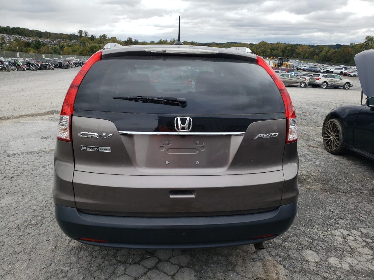 2013 Honda Cr-V Exl VIN: 5J6RM4H7XDL007413 Lot: 86243855