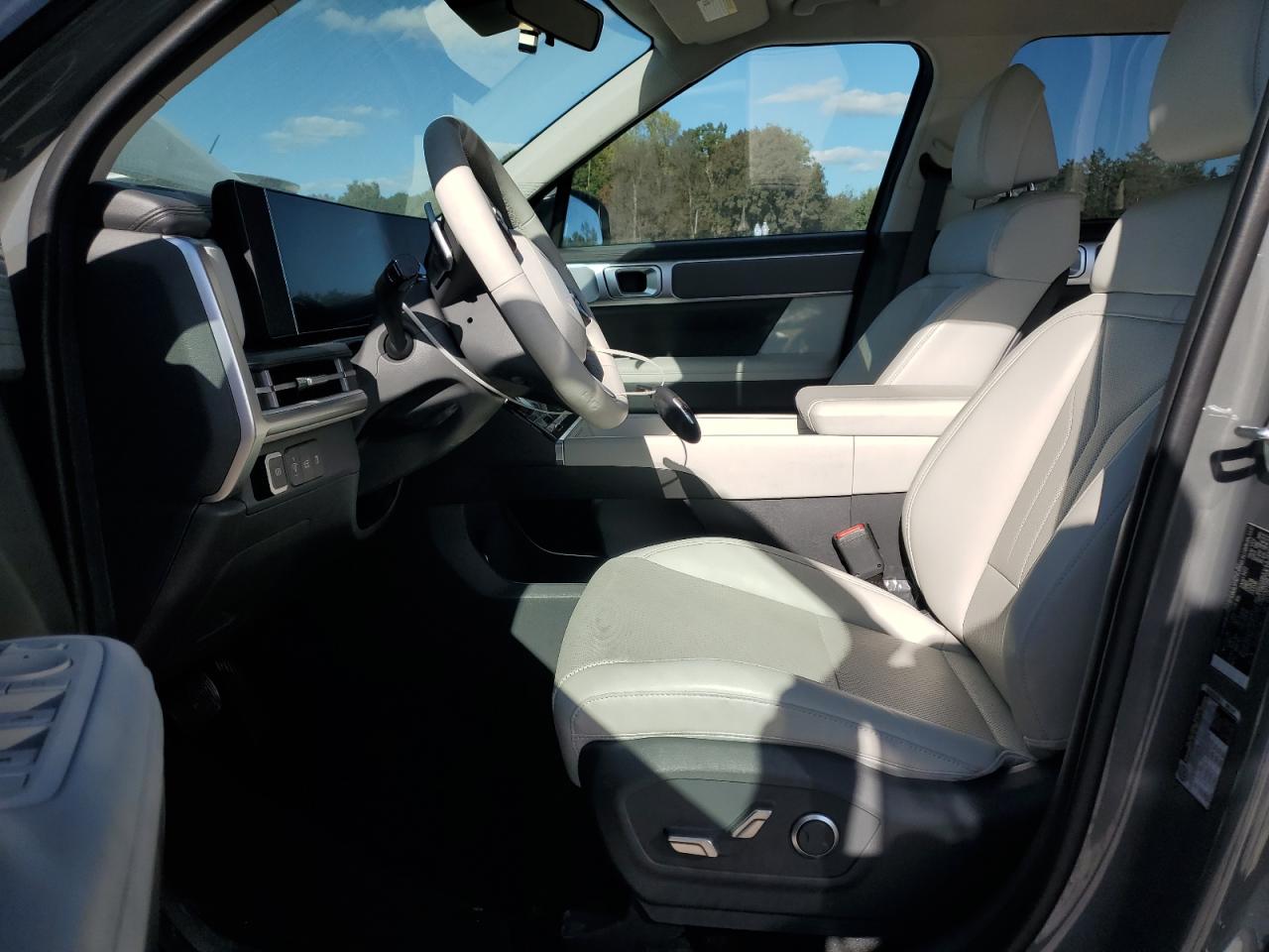 2024 Hyundai Santa Fe Sel VIN: 5NMP24GL8RH038721 Lot: 82407935