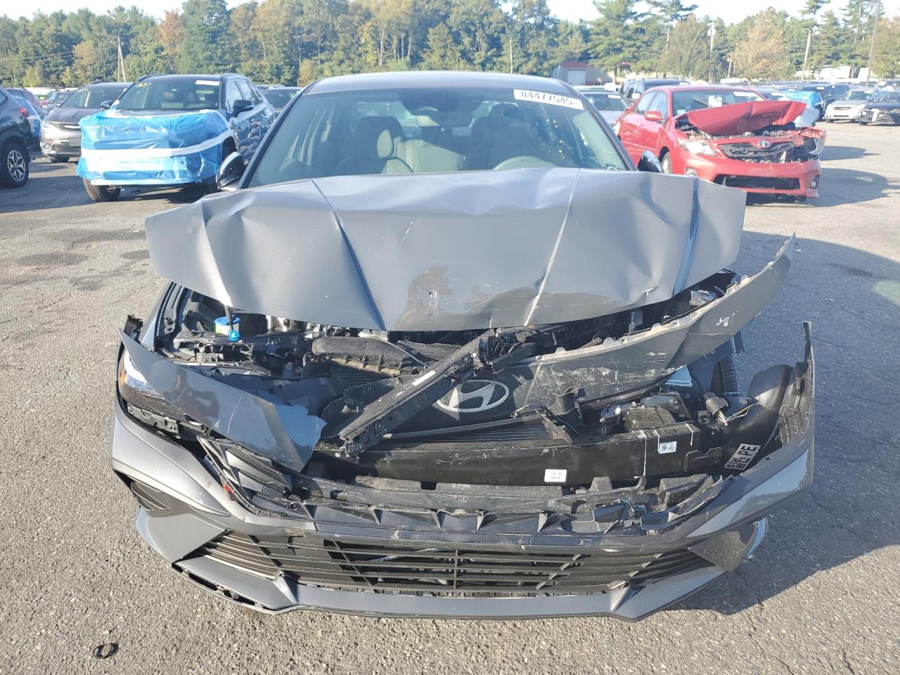 Elantra Elantra