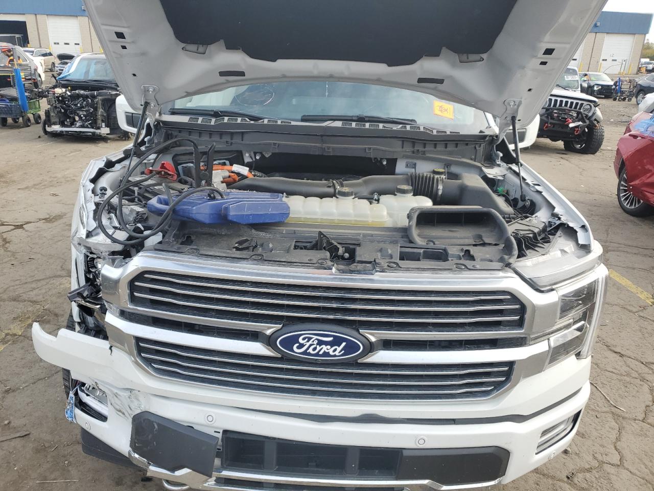 2024 Ford F150 Platinum VIN: 1FTFW7LD6RFB55646 Lot: 82349515