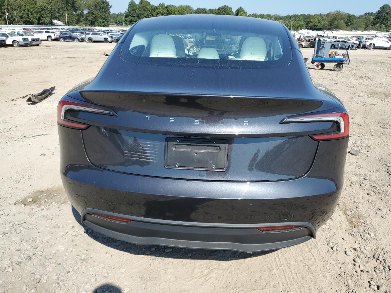 2025 Tesla Model 3 VIN: 5YJ3E1EAXSF004647 Lot: 84885455