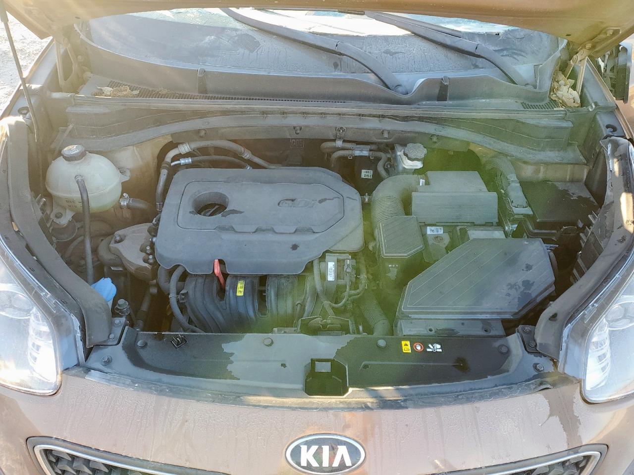 2017 Kia Sportage Lx VIN: KNDPM3AC5H7113880 Lot: 86154415