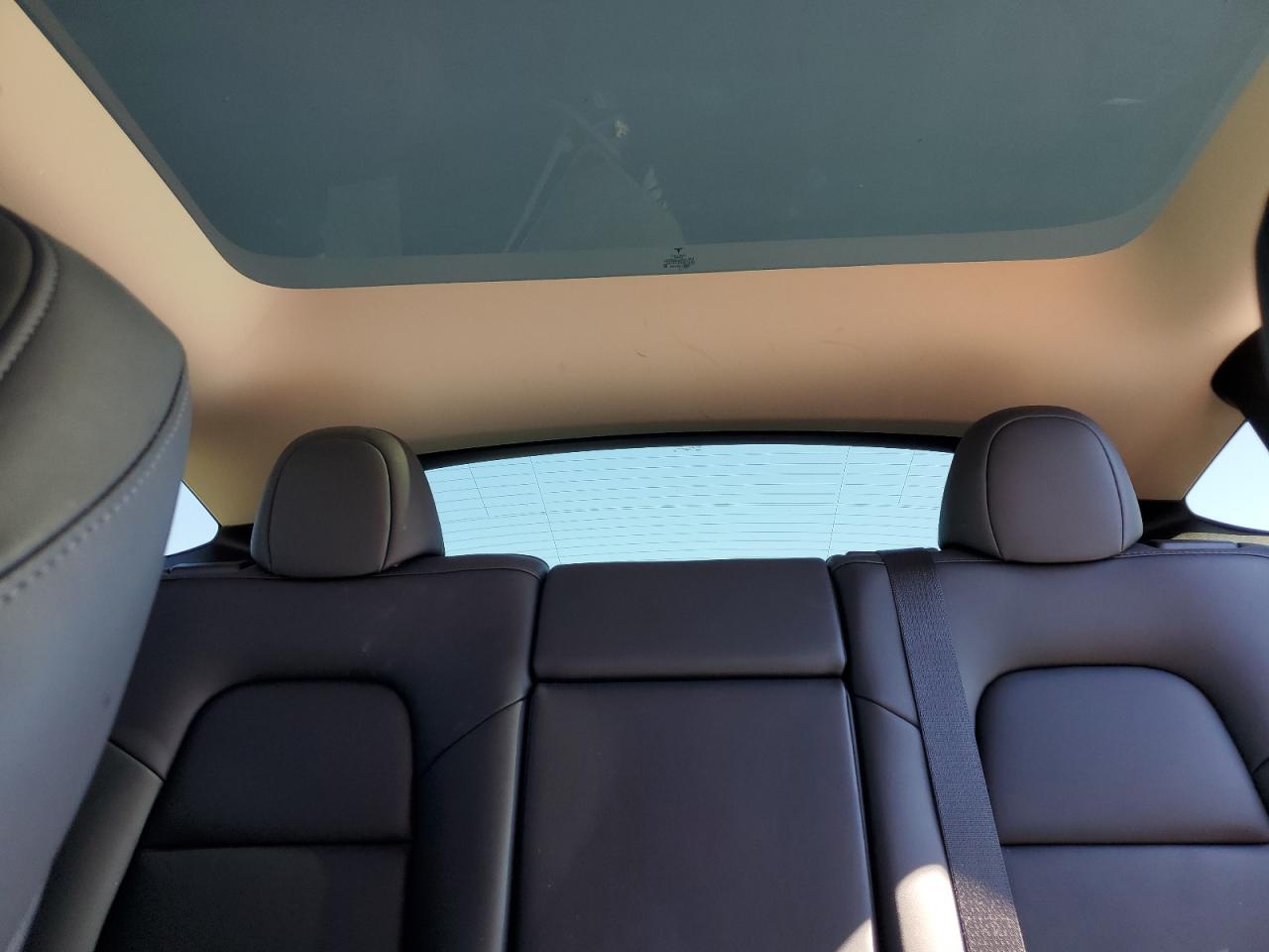 2023 Tesla Model Y VIN: 7SAYGDEE8PA092092 Lot: 82406765