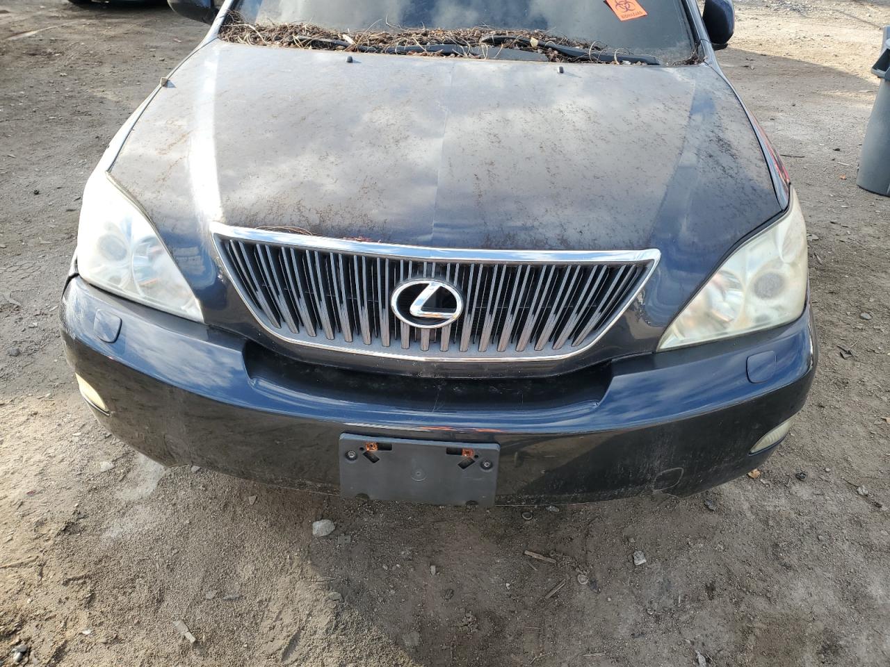 2004 Lexus Rx 330 VIN: 2T2HA31U94C004445 Lot: 82709515