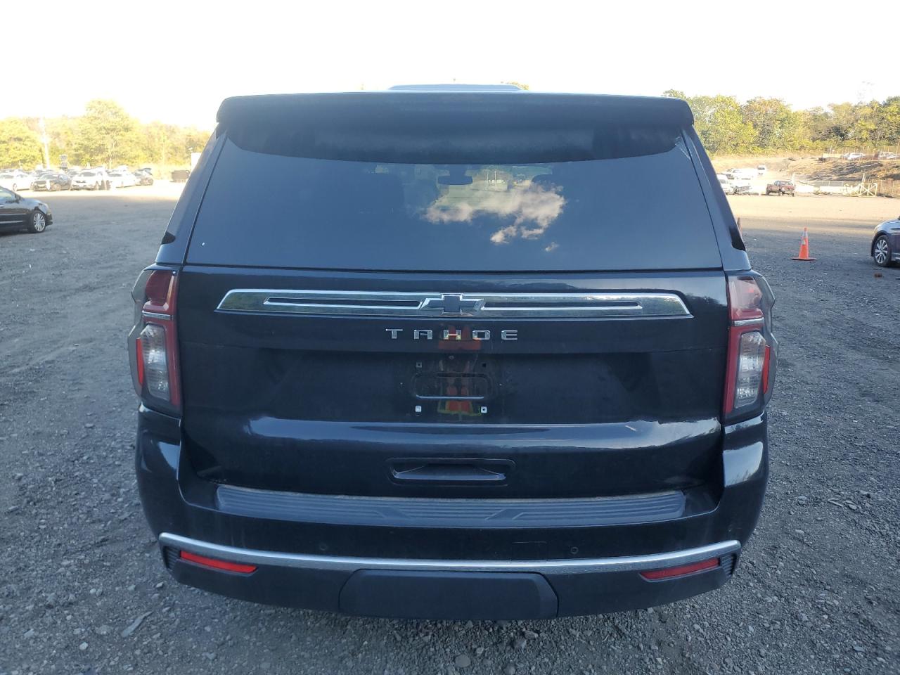 2021 Chevrolet Tahoe K1500 Ls VIN: 1GNSKMKD5MR303150 Lot: 71833215