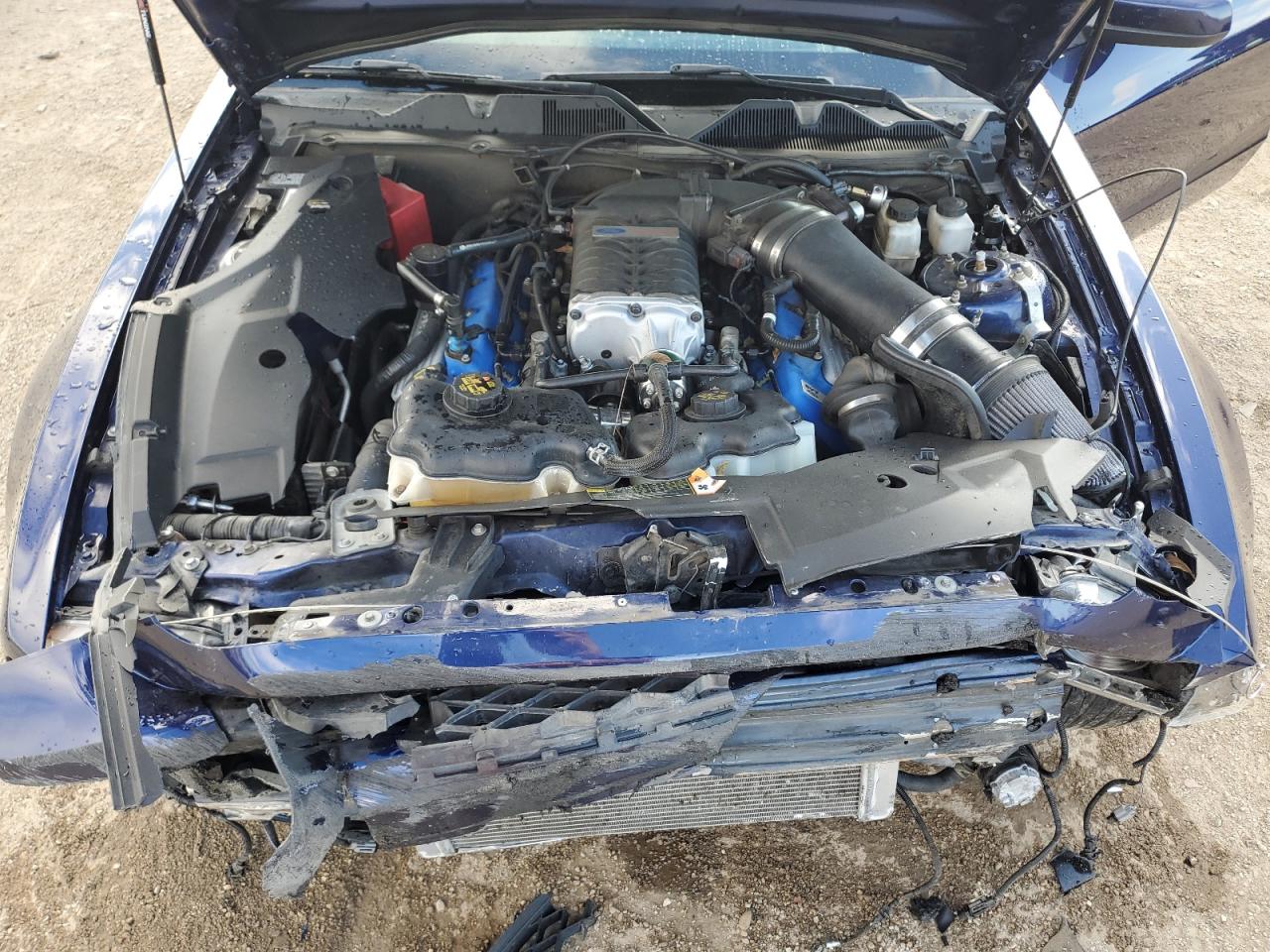 2012 Ford Mustang Shelby Gt500 VIN: 1ZVBP8JS5C5250423 Lot: 89873595