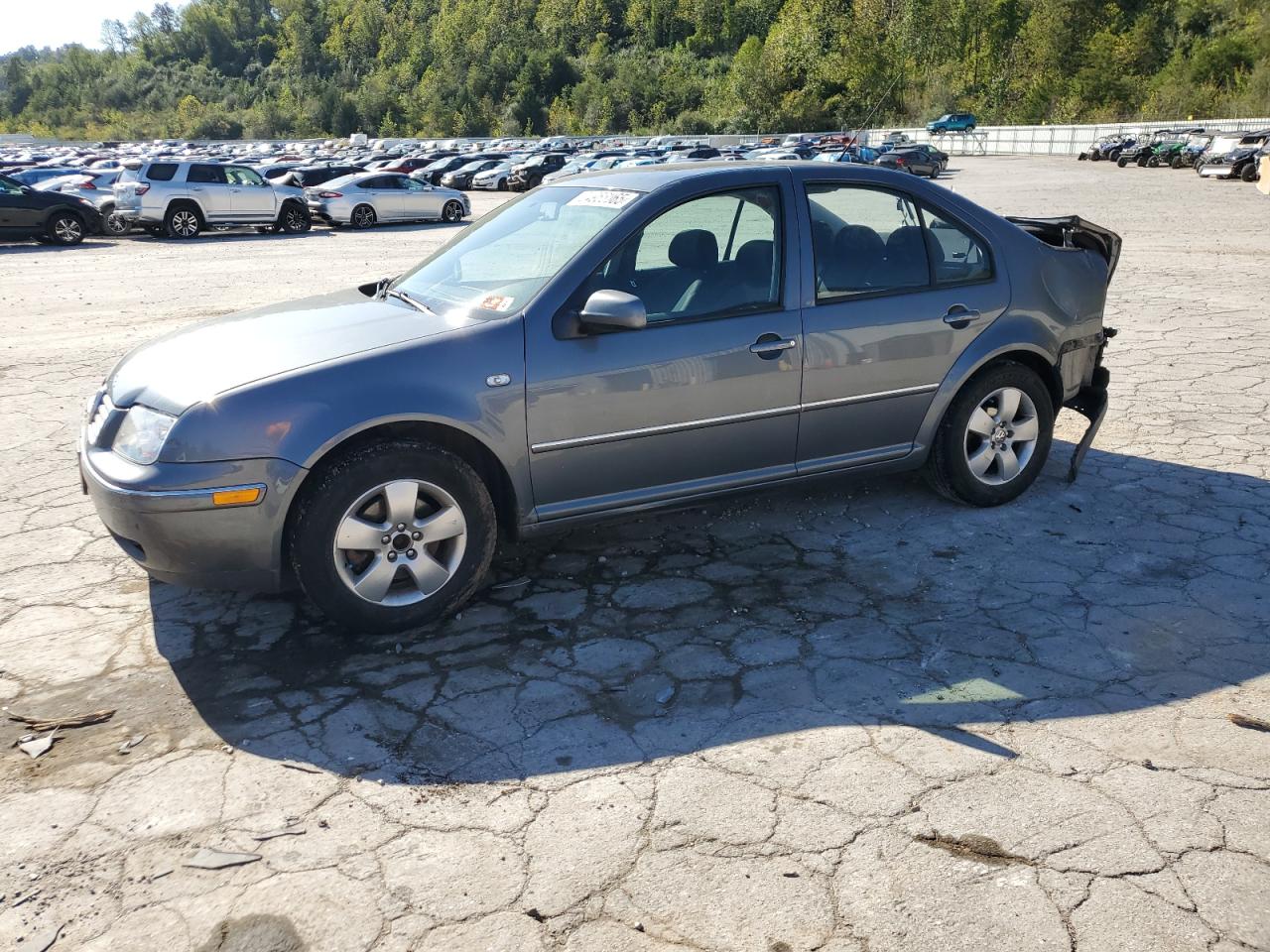 2004 Volkswagen Jetta Gls Tdi