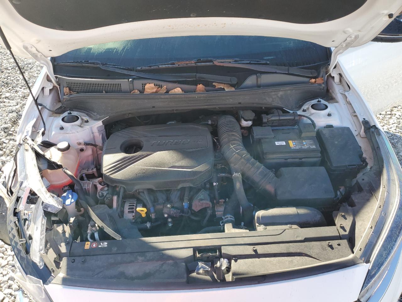 2023 Kia Forte Gt VIN: 3KPF44AC6PE547533 Lot: 89820435