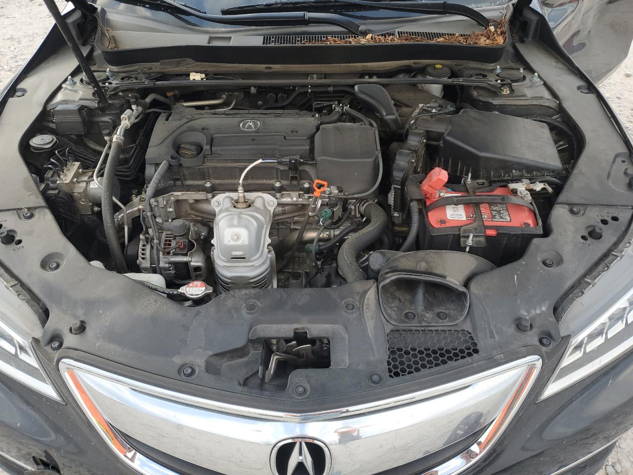 2015 Acura Tlx VIN: 19UUB1F36FA025296 Lot: 85756745