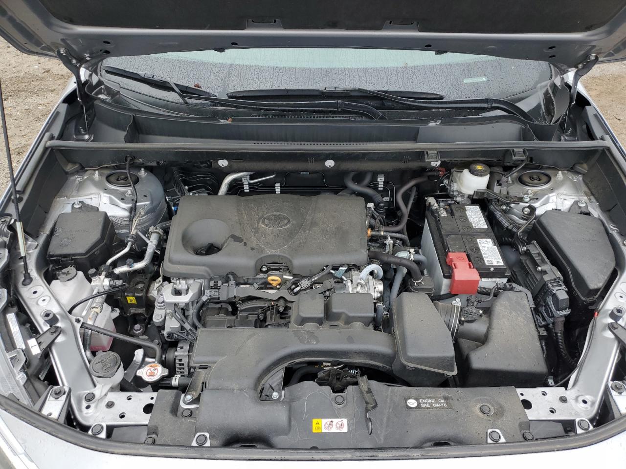 2024 Toyota Rav4 Xle VIN: 2T3P1RFV3RC445619 Lot: 85913815