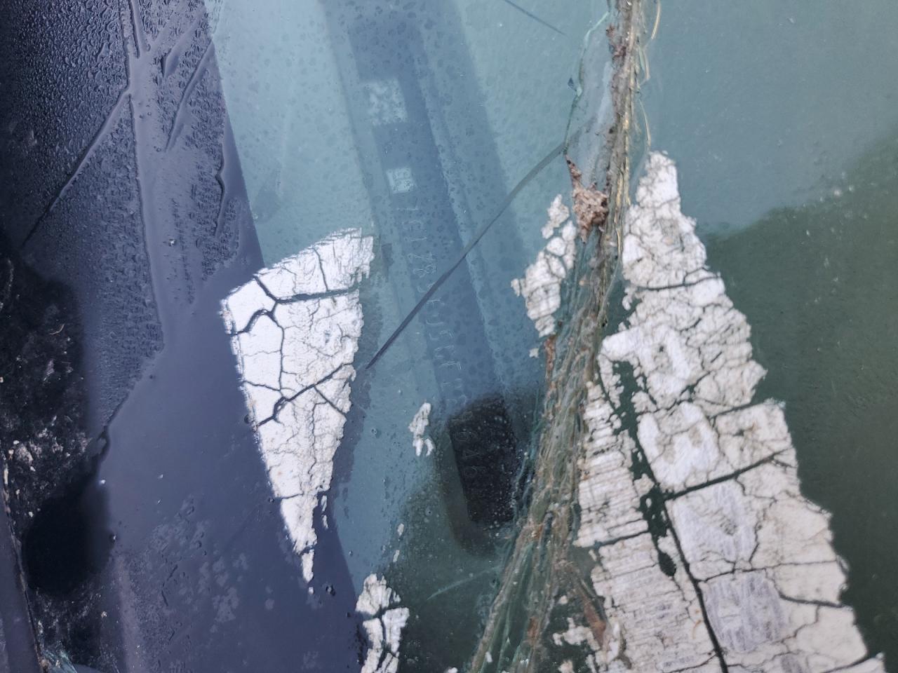 2012 Chevrolet Malibu Ls VIN: 1G1ZB5E05CF229646 Lot: 82389485