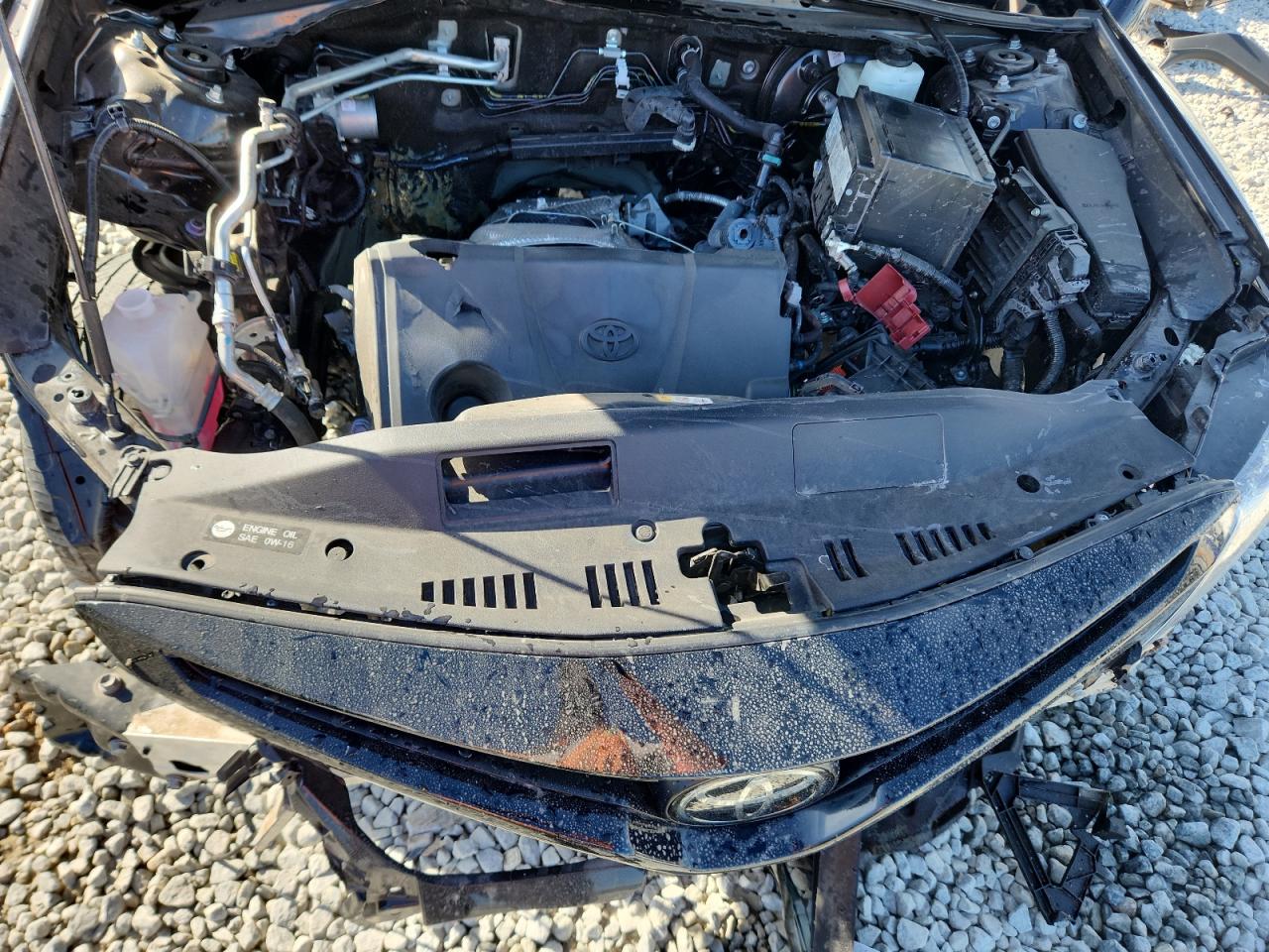 2024 Toyota Camry Se Night Shade VIN: 4T1G11AK6RU198294 Lot: 90082915