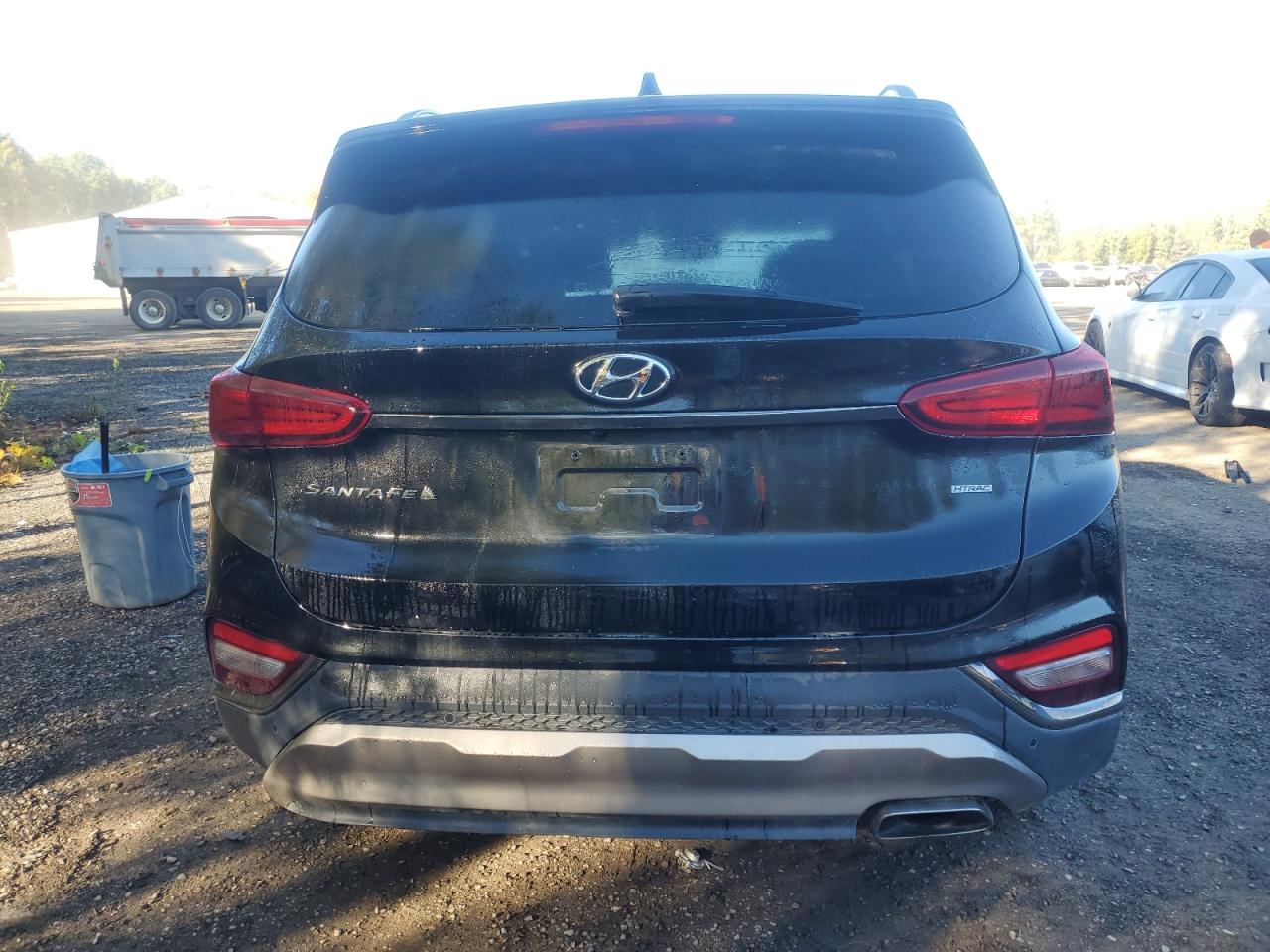 2019 Hyundai Santa Fe Sel VIN: 5NMS3CAD1KH121982 Lot: 84900695