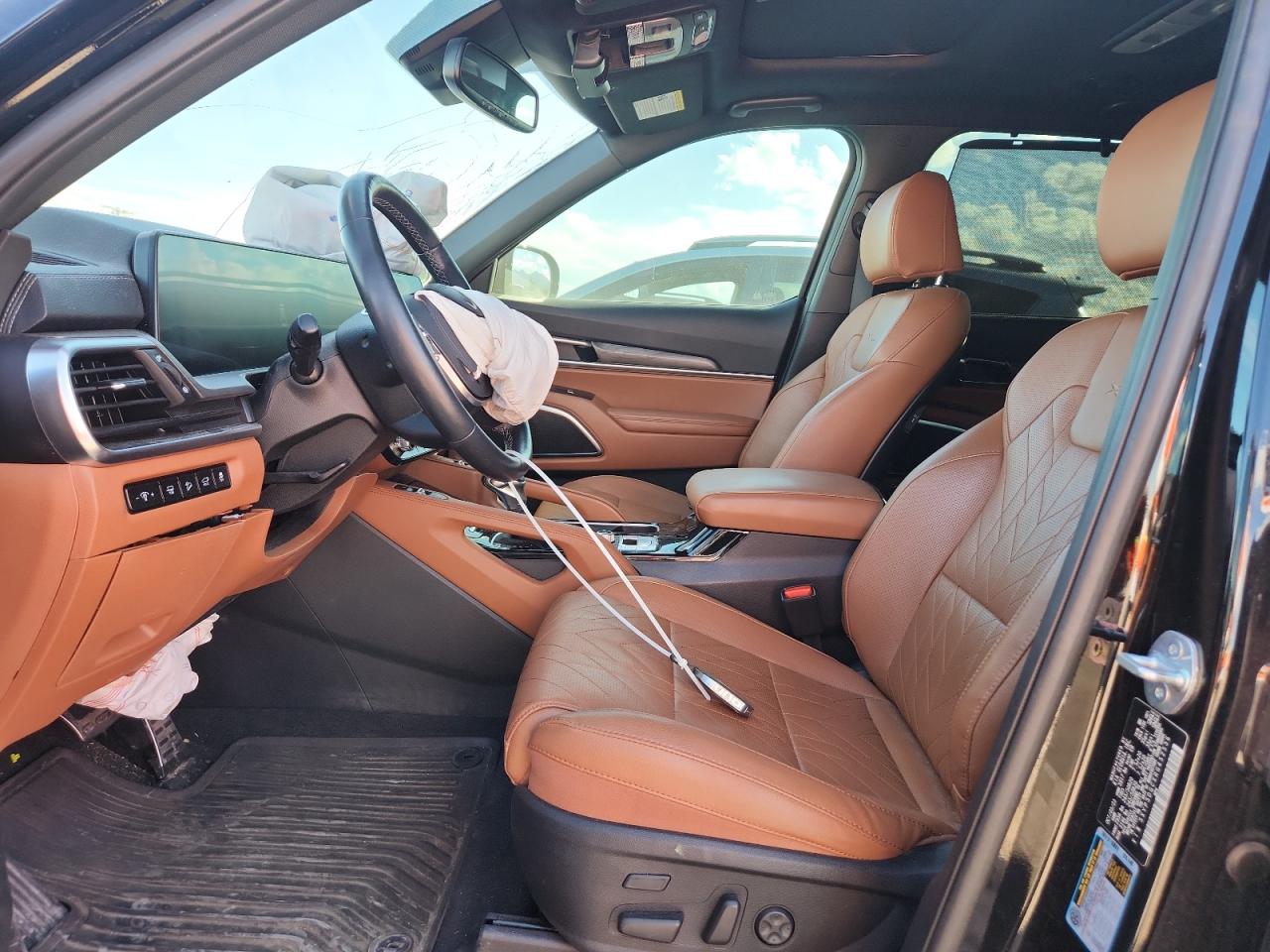 2024 Kia Telluride Sx VIN: 5XYP5DGCXRG452536 Lot: 85386255