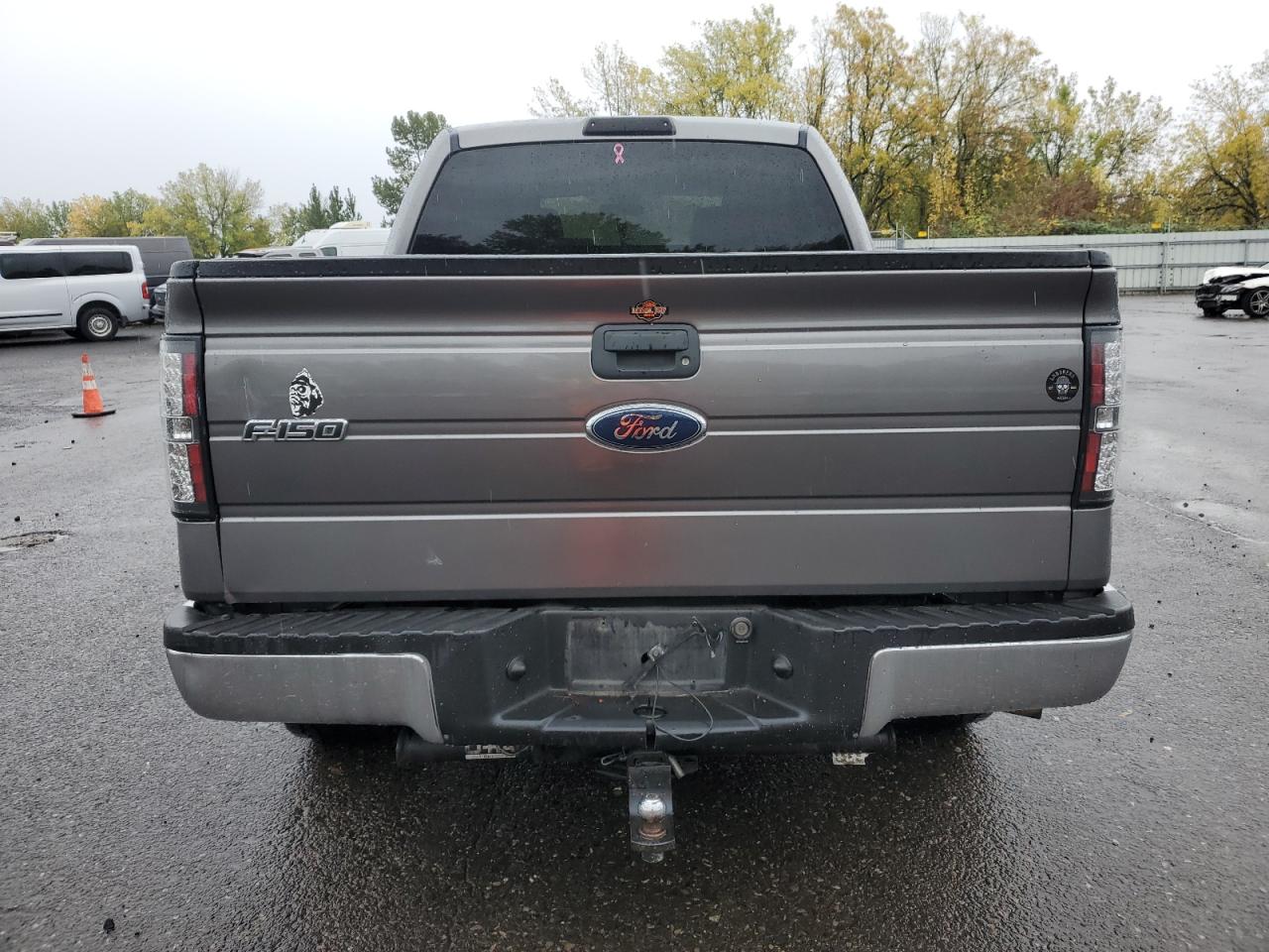 2010 Ford F150 Supercrew VIN: 1FTEW1E8XAFB02185 Lot: 82757705