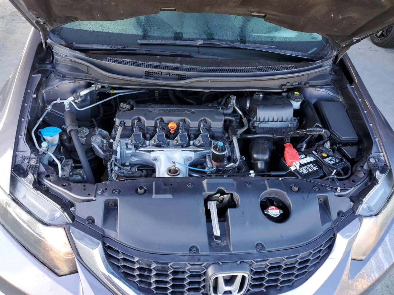 2015 Honda Civic Lx VIN: 19XFB2F50FE295667 Lot: 84228075