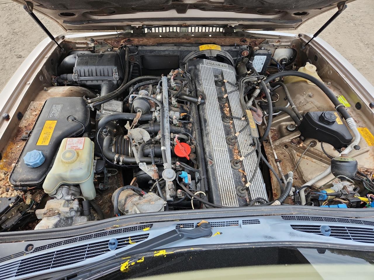 1993 Jaguar Xj6 Vanden Plas VIN: SAJKW1749PC671859 Lot: 86042865