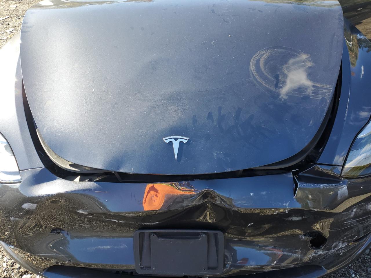 2024 Tesla Model Y VIN: 7SAYGDEE8RA270859 Lot: 89484765