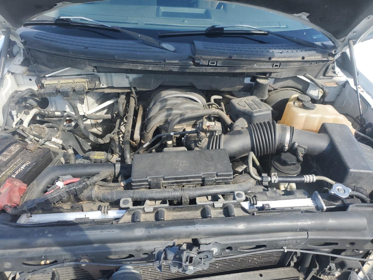 2010 Ford F150 Supercrew VIN: 1FTEW1C88AFB97042 Lot: 90230955