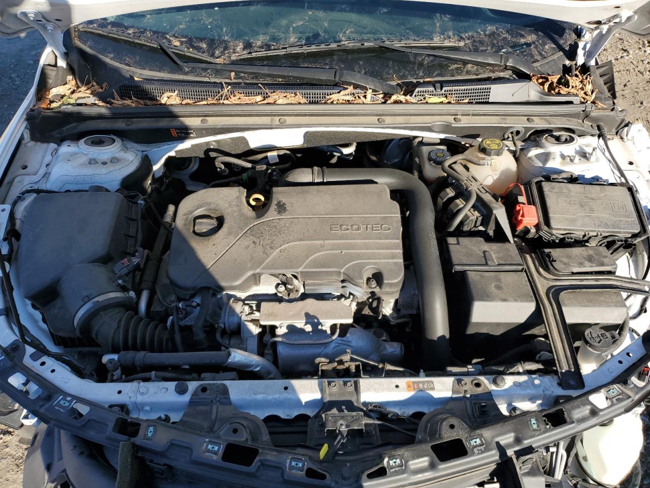 2021 Chevrolet Malibu Lt VIN: 1G1ZD5ST2MF046568 Lot: 86060225