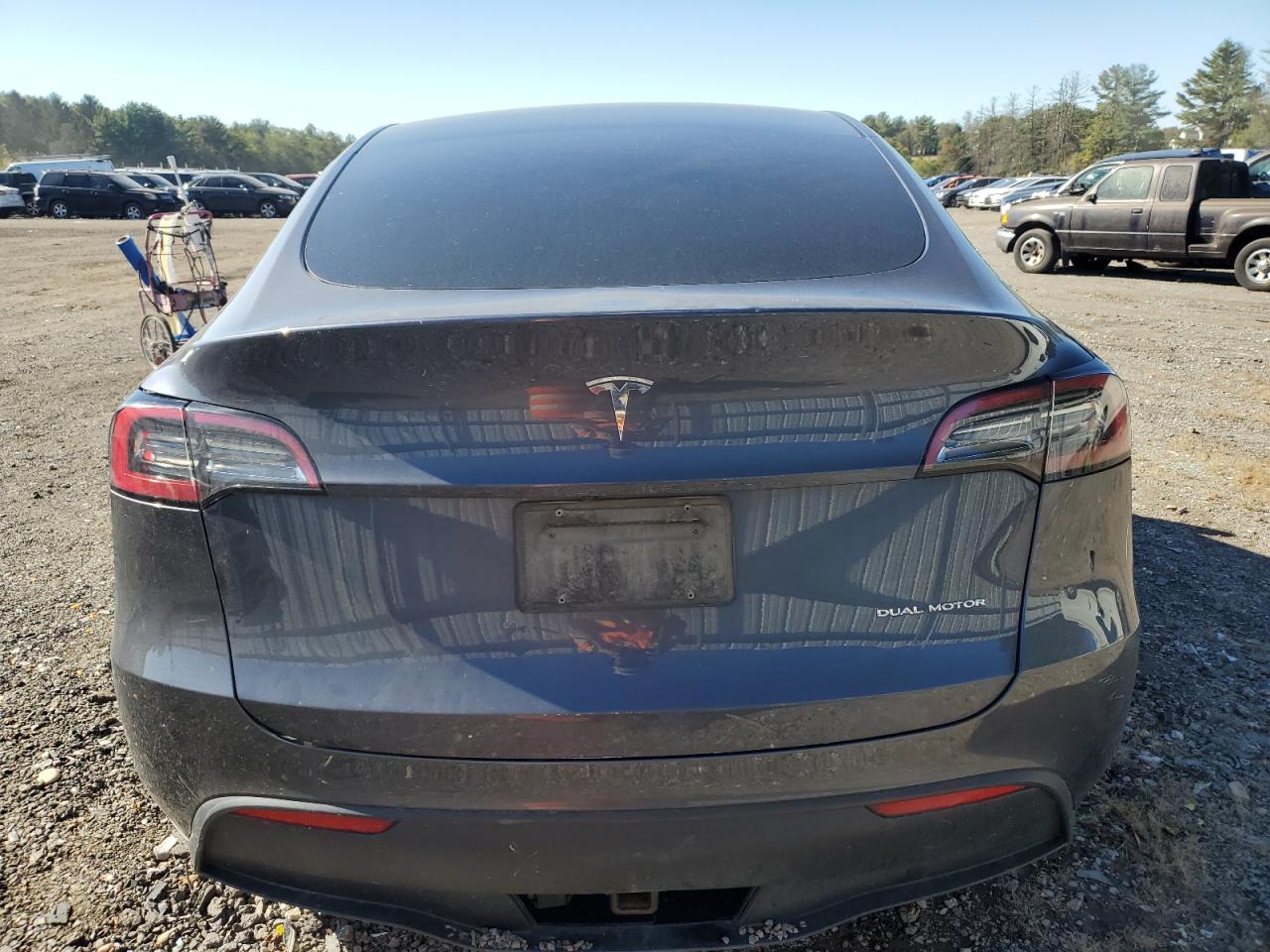 2023 Tesla Model Y VIN: 7SAYGAEE0PF706991 Lot: 85282995