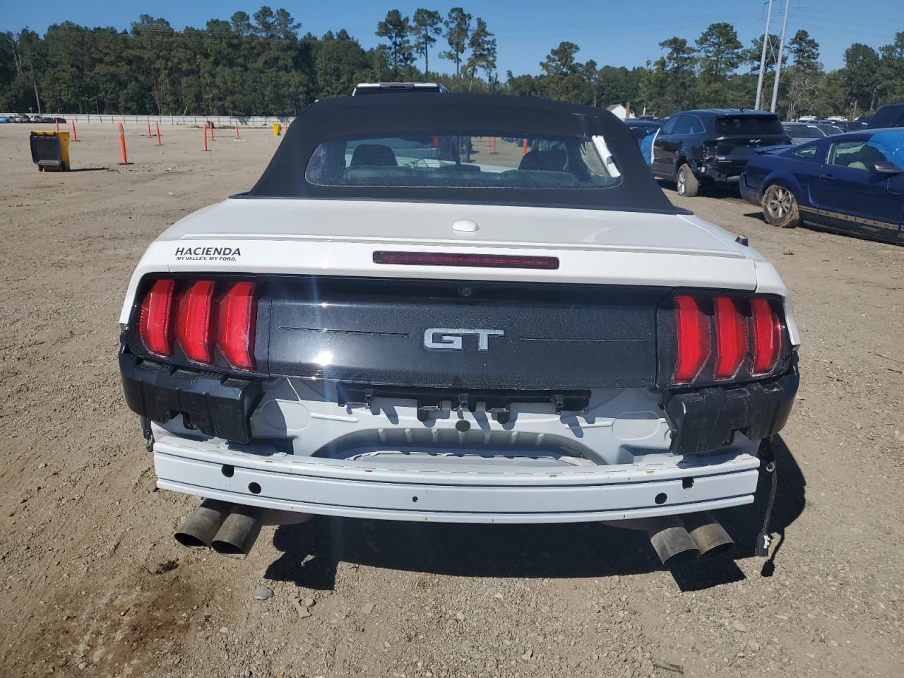 2019 Ford Mustang Gt VIN: 1FATP8FF2K5187899 Lot: 86693265