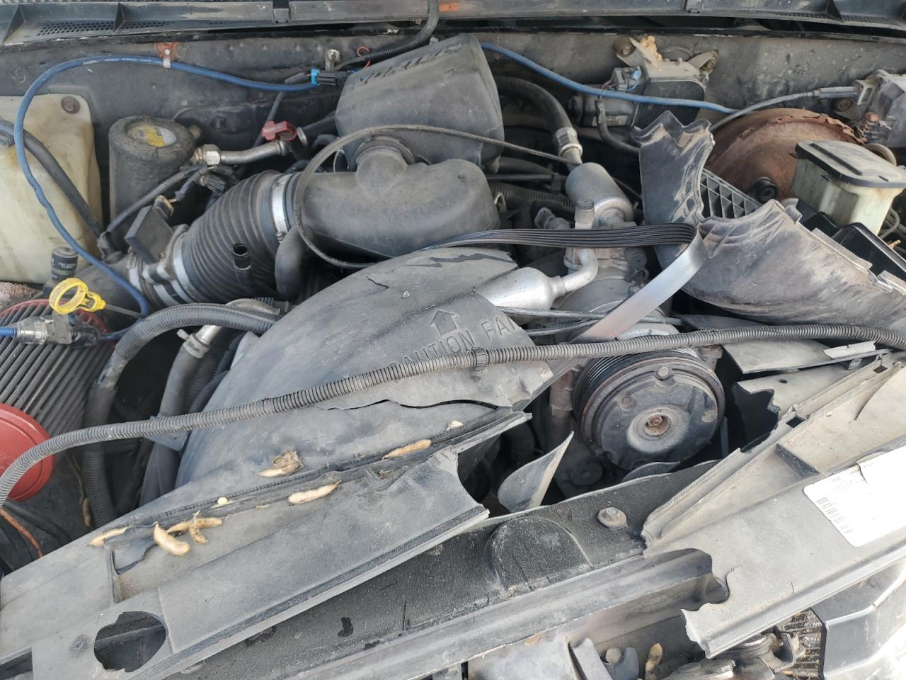 1998 GMC Sierra C1500 VIN: 2GTEC19R9W1556423 Lot: 86428045