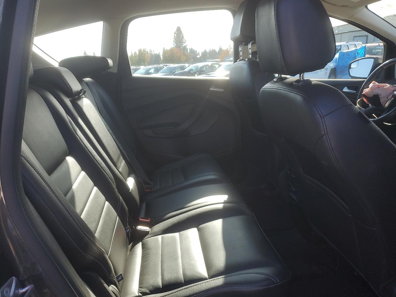 2016 Ford C-Max Premium Sel VIN: 1FADP5CU1GL120719 Lot: 86265405