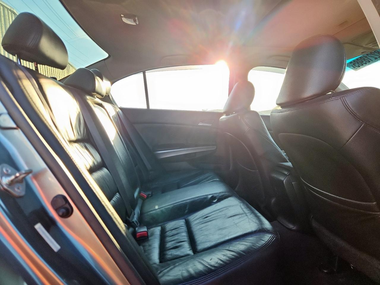 2008 Honda Accord Exl VIN: JHMCP26888C051014 Lot: 82218985