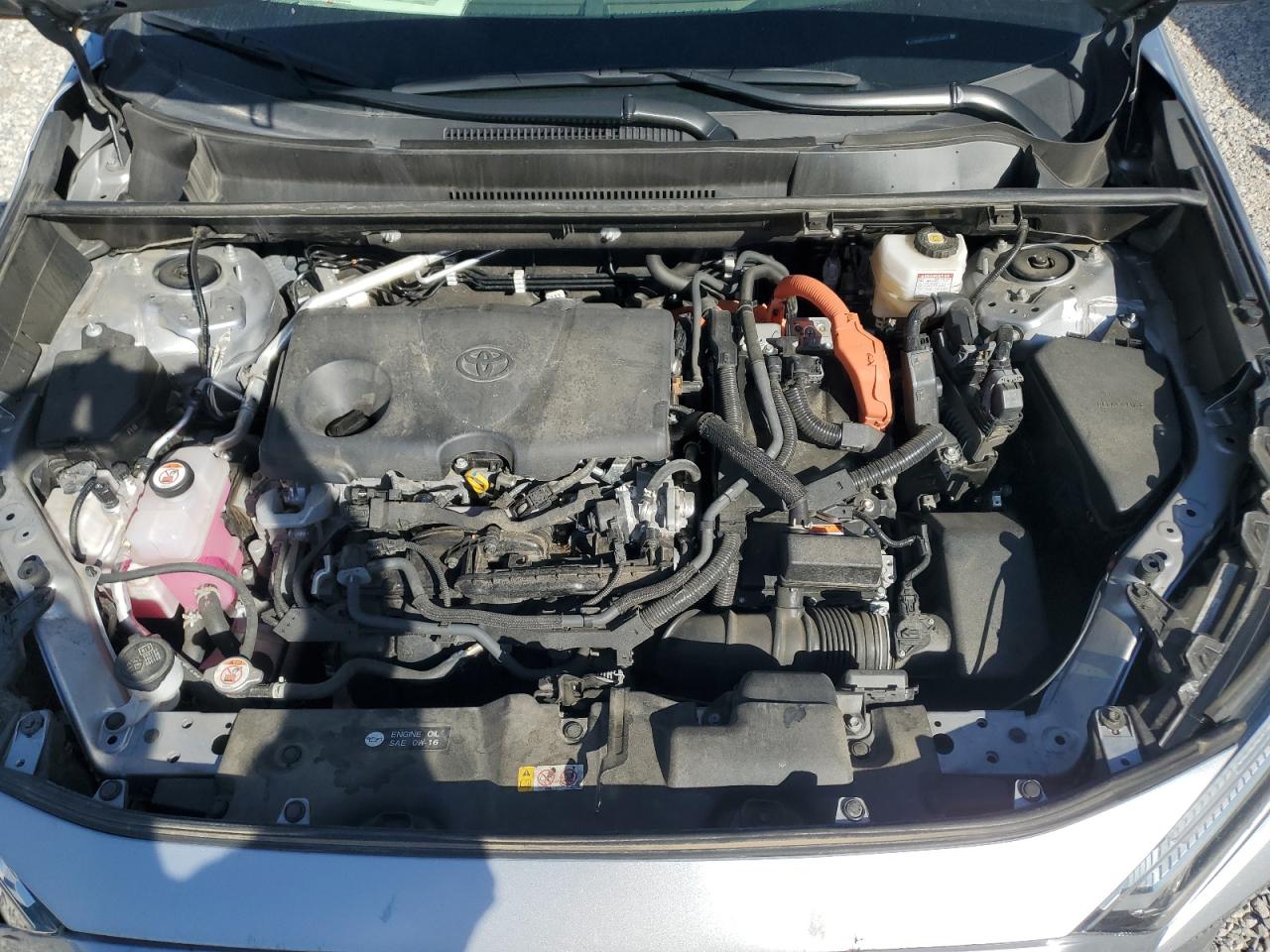 2024 Toyota Rav4 Le VIN: JTMMWRFV4RD221467 Lot: 85181205