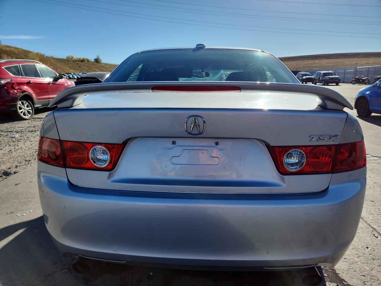 2005 Acura Tsx VIN: JH4CL96905C013026 Lot: 87022975