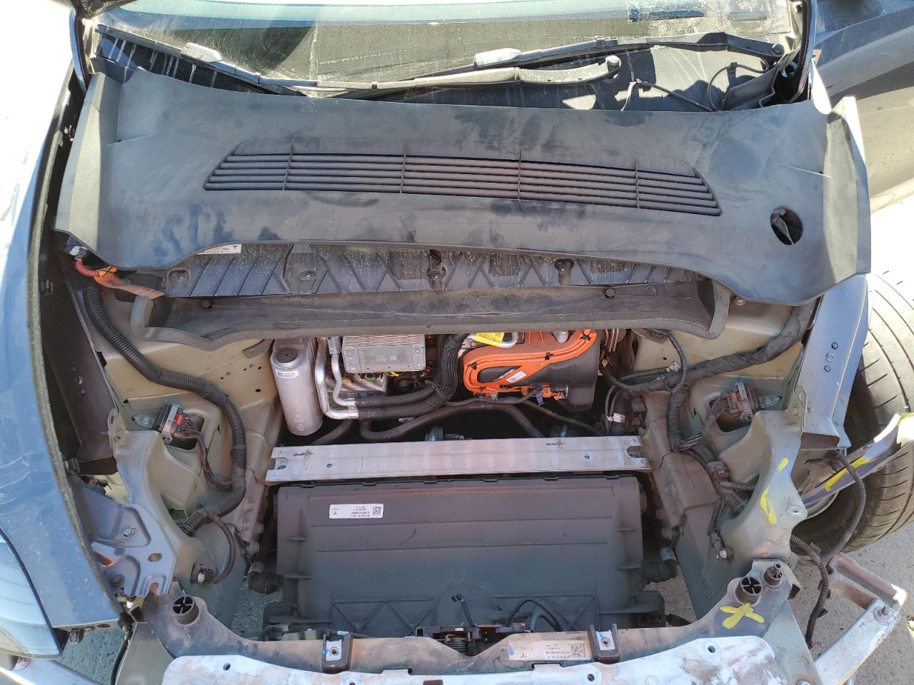 2023 Tesla Model Y VIN: 7SAYGDED4PF941029 Lot: 82220065