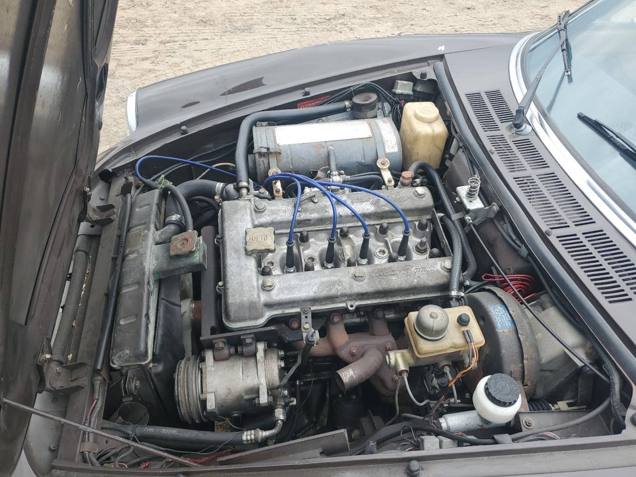 1980 Alfa Romeo Spider Vel VIN: AR115410011099 Lot: 90127735