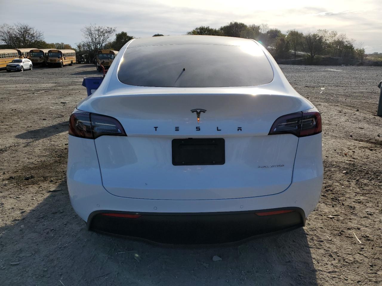 2021 Tesla Model Y VIN: 5YJYGDEE5MF119664 Lot: 90123245