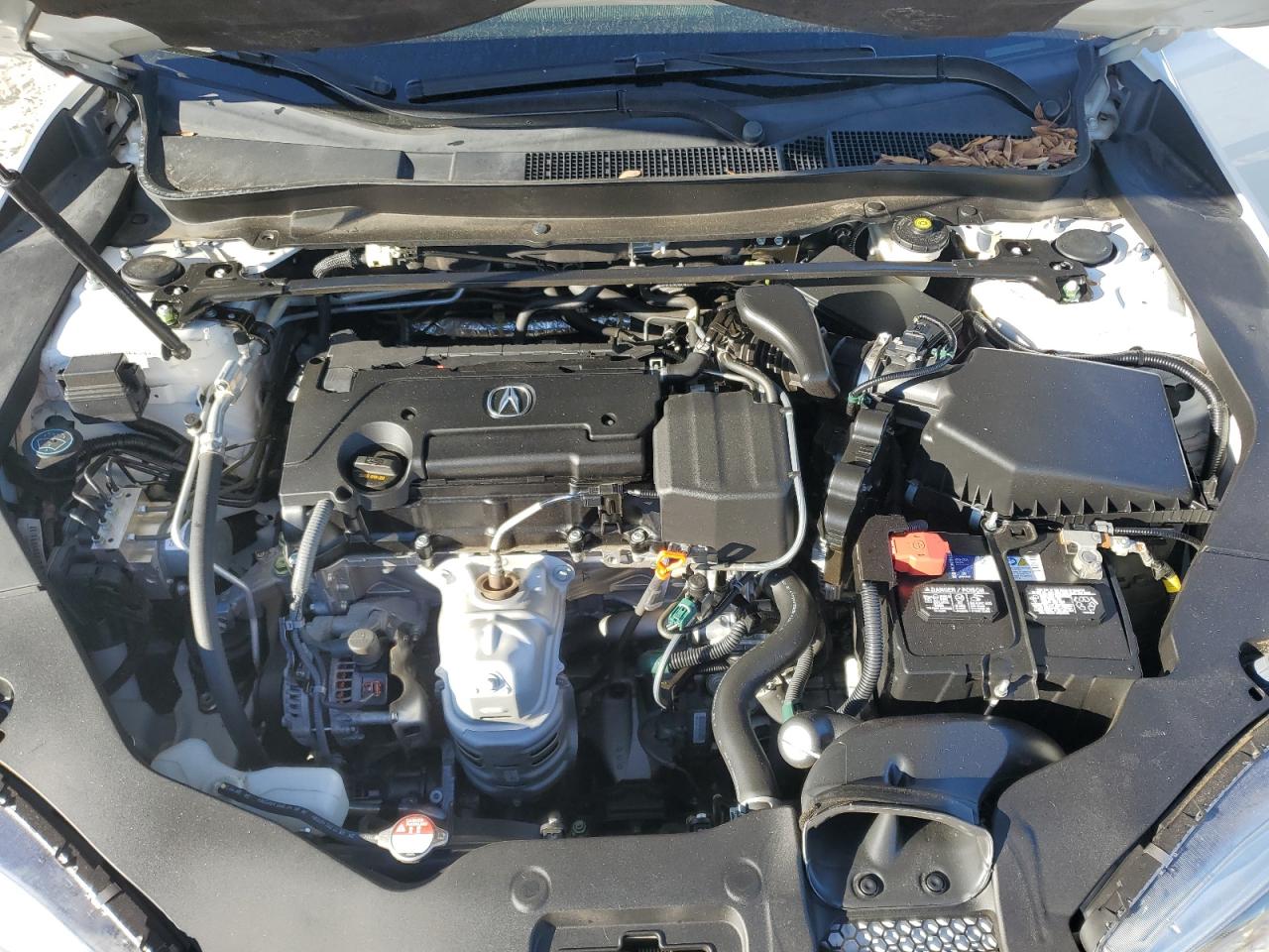 2019 Acura Tlx VIN: 19UUB1F3XKA010584 Lot: 82417235