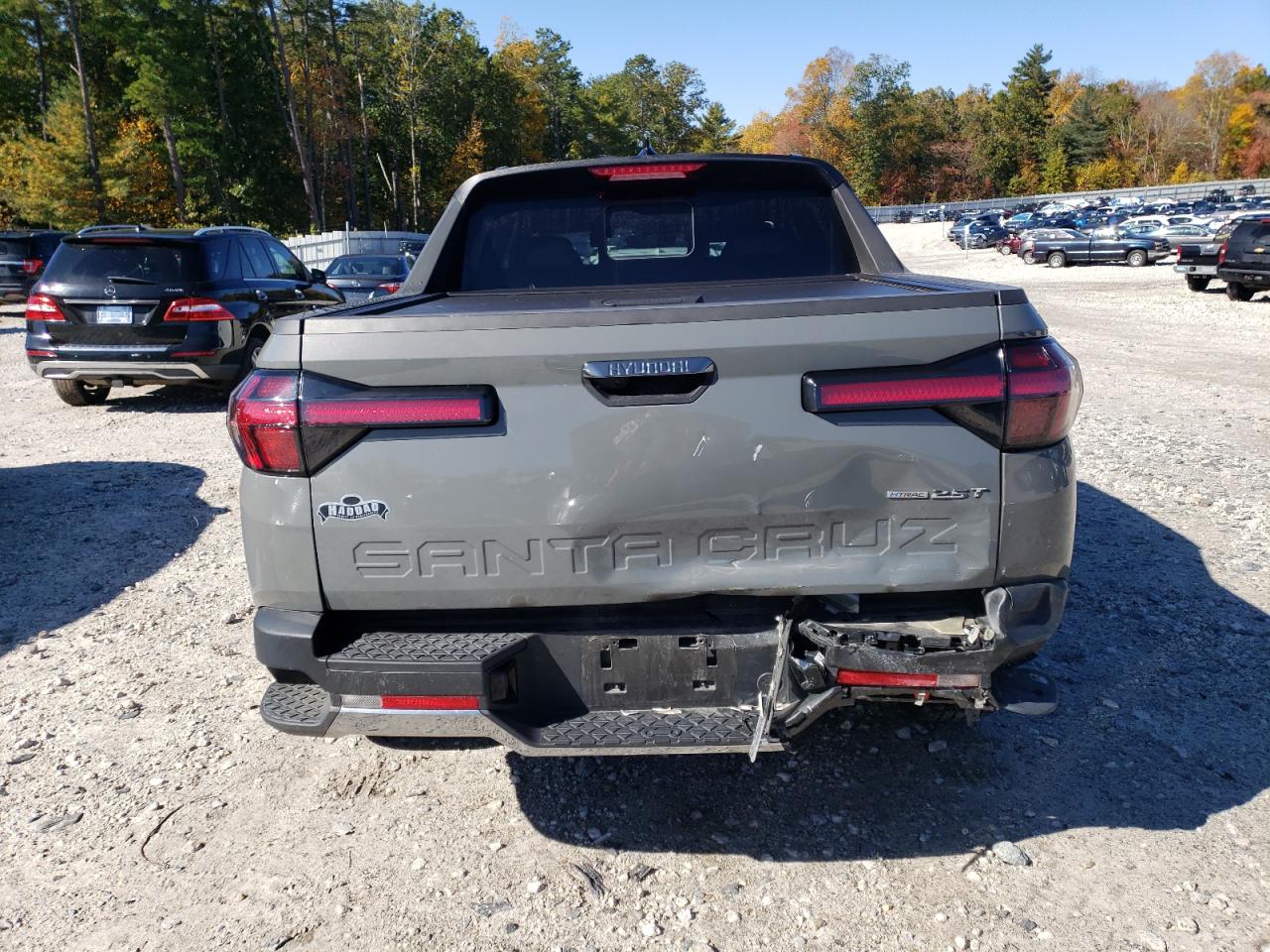 2024 Hyundai Santa Cruz Limited VIN: 5NTJEDDF8RH107648 Lot: 85676575