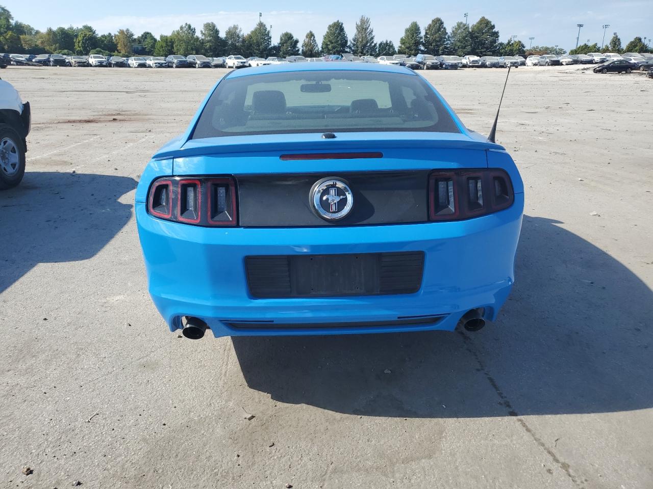 2013 Ford Mustang VIN: 1ZVBP8AM3D5218895 Lot: 82201245