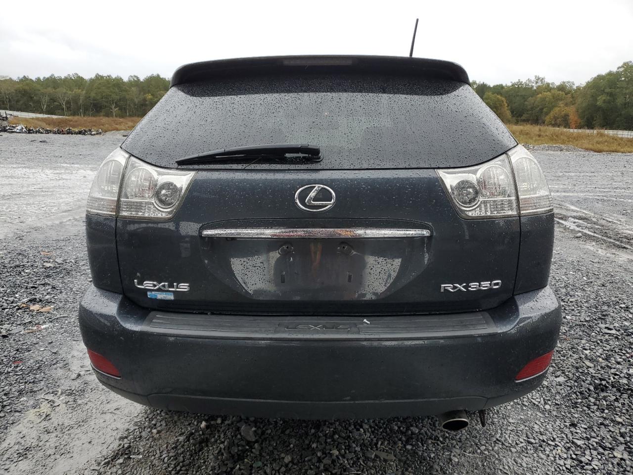 2009 Lexus Rx 350 VIN: 2T2GK31U39C080453 Lot: 82781475