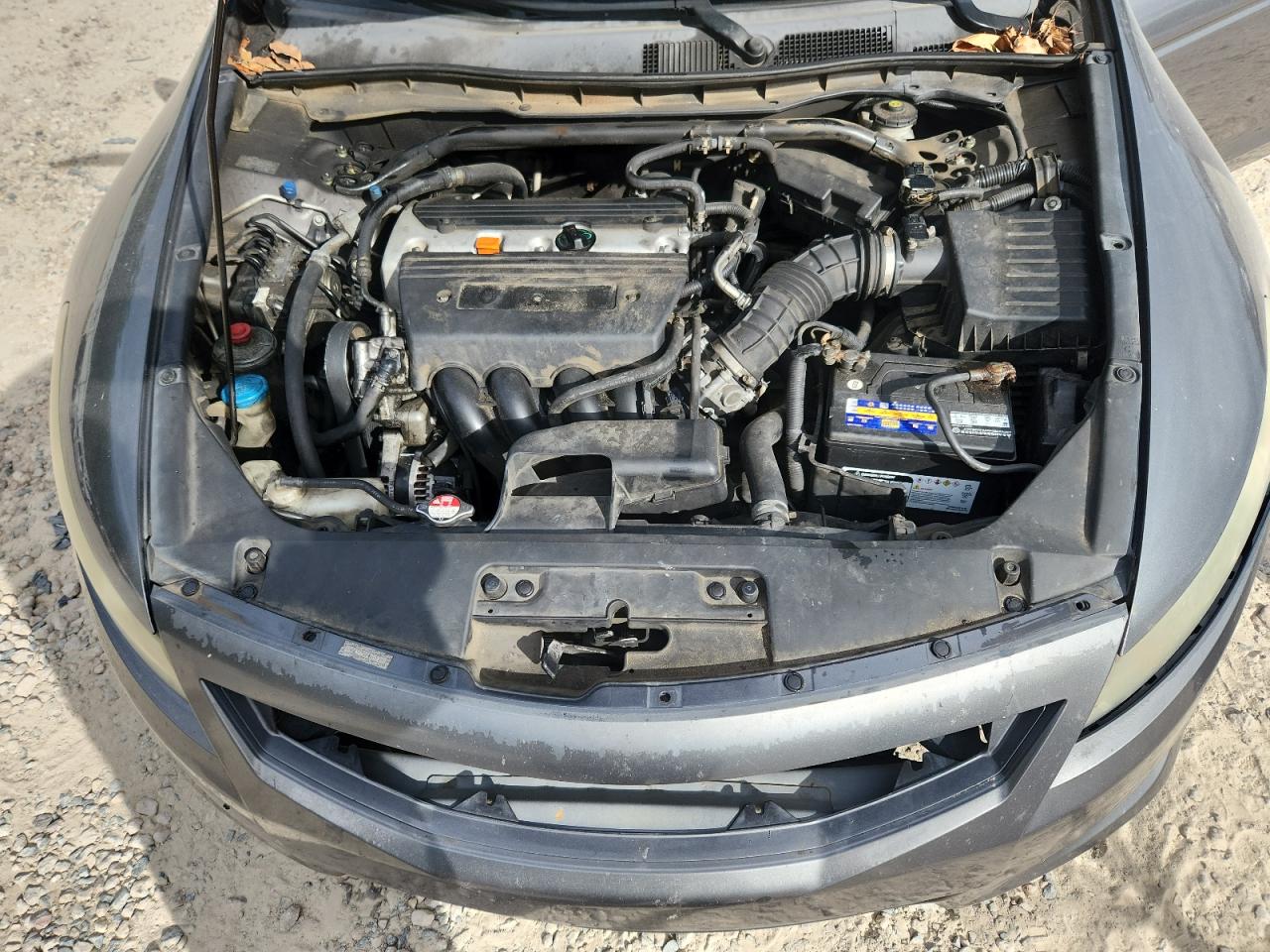 2009 Honda Accord Exl VIN: 1HGCS12849A015738 Lot: 85529335