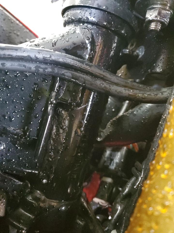 2019 Honda Grom 125 VIN: MLHJC7515K5105769 Lot: 90255975