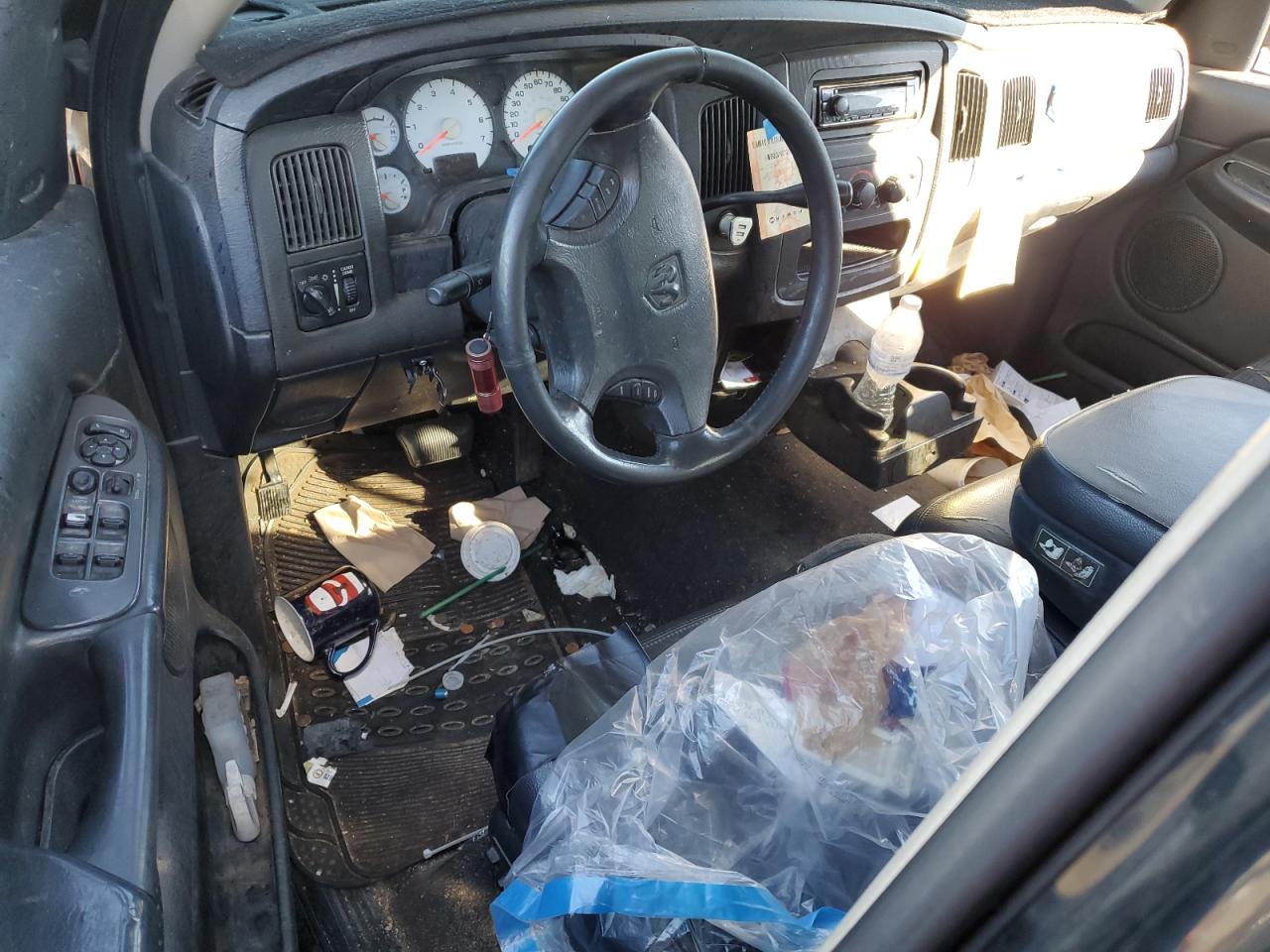 2002 Dodge Ram 1500 VIN: 1D7HA18N02J212924 Lot: 82621155