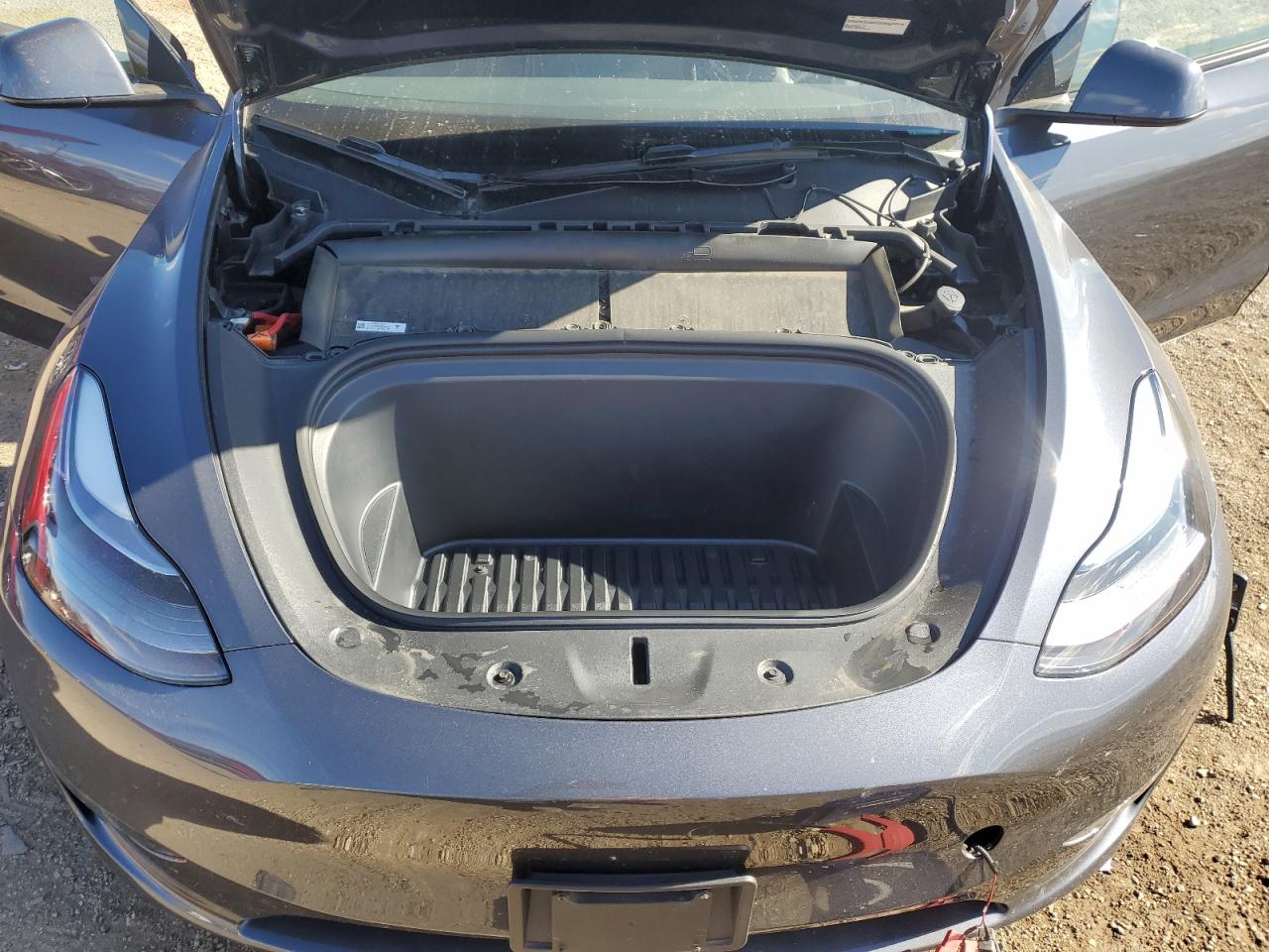 2024 Tesla Model Y VIN: 7SAYGDEE6RA217299 Lot: 87289985