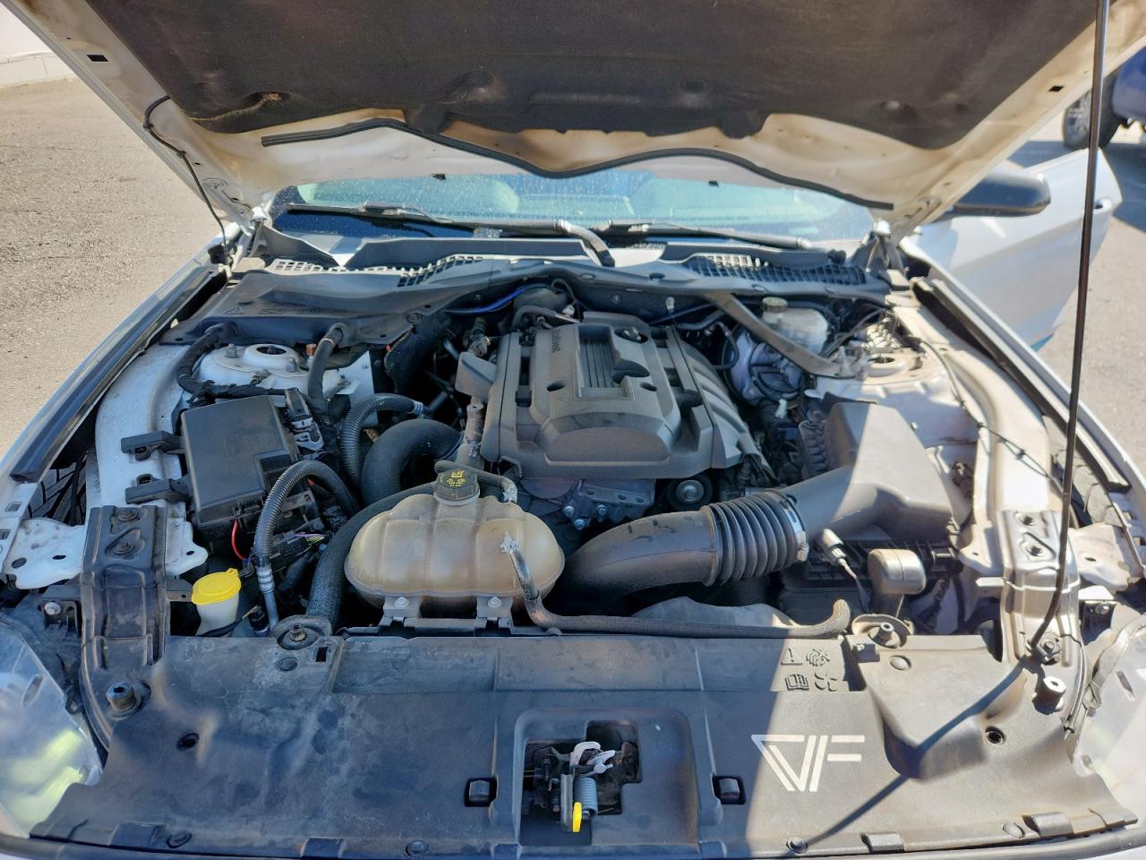 2019 Ford Mustang VIN: 1FATP8UH5K5151421 Lot: 86187845