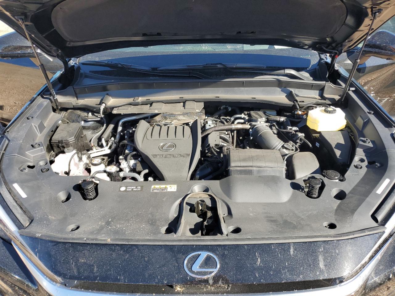 2025 Lexus Tx 500H F Sport Premium VIN: 5TDABAB6XSS008547 Lot: 82305895