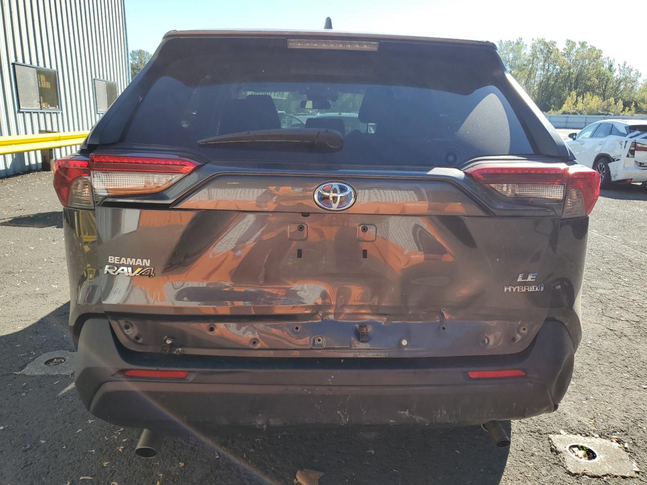 2019 Toyota Rav4 Le VIN: 2T3MWRFV9KW013108 Lot: 85719025